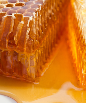 buy Honeycomb raw honey